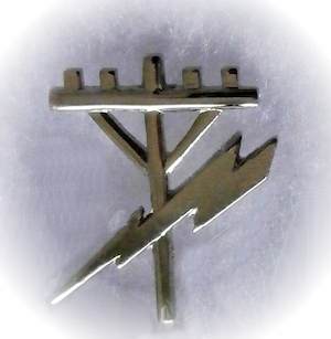 Electrician - Electrical Trades Occupational Lapel /Cap Pin  or Tie Tac 