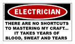 ELECTRICIAN STICKER:  Mastering My Craft