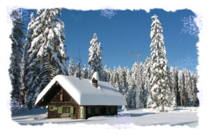 Order a minimum of ten Amateur Radio Christmas Cards depicting our snowy ham shack and receive your custom call sign on the front and whatever text you would like printed on the inside....Thanks for shopping with us!